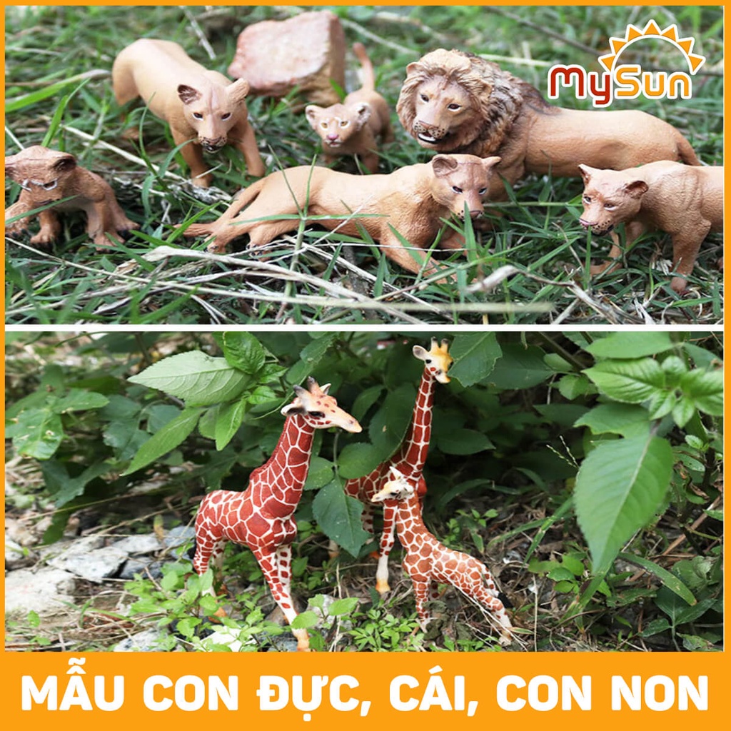Bộ đồ chơi mô hình thế giới các con động vật hoang dã: cá sấu, hổ, gấu, sư tử, sói bằng nhựa dạy học cho bé MySun