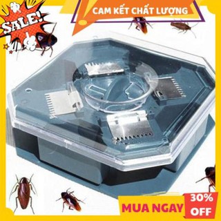 Máy bắt gián thông minh hộp bẫy dán hiệu quả