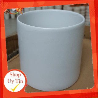 Chậu sứ trụ size trung🔥 |FREESHIP 🌺 SIÊU XINH | LỖI 1 ĐỔI 1