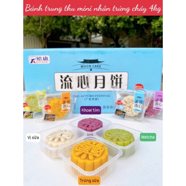 Bánh Trung Thu mini trứng muối đậu xanh hạt dẻ hoa anh đào siêu ngon