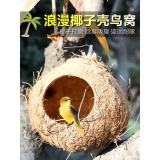 Tổ Đan Rơm Cho Vẹt Cưng