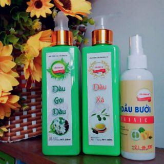 CẶP DẦU GỘI & XẢ