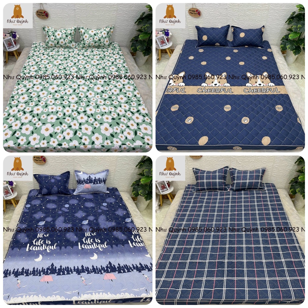 Bộ Ga Chun Trần Ga Trải GiườngTrần Bông Kèm 2 Vỏ Gối cotton poly m6 m8 nhiều mẫu