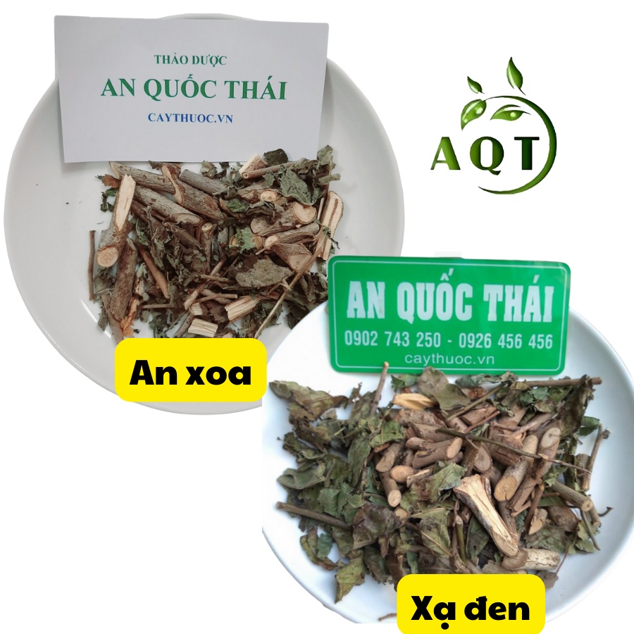 Combo Cây An Xoa Và Cây Xạ Đen (Mỗi Vị 0,5kg) Phòng Ung Thư, An Xoa Xạ Đen Tốt Cho Người Bệnh Gan