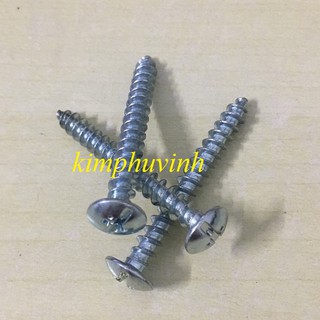 5x40mm - 100 con VÍT GỖ ĐẦU DÙ