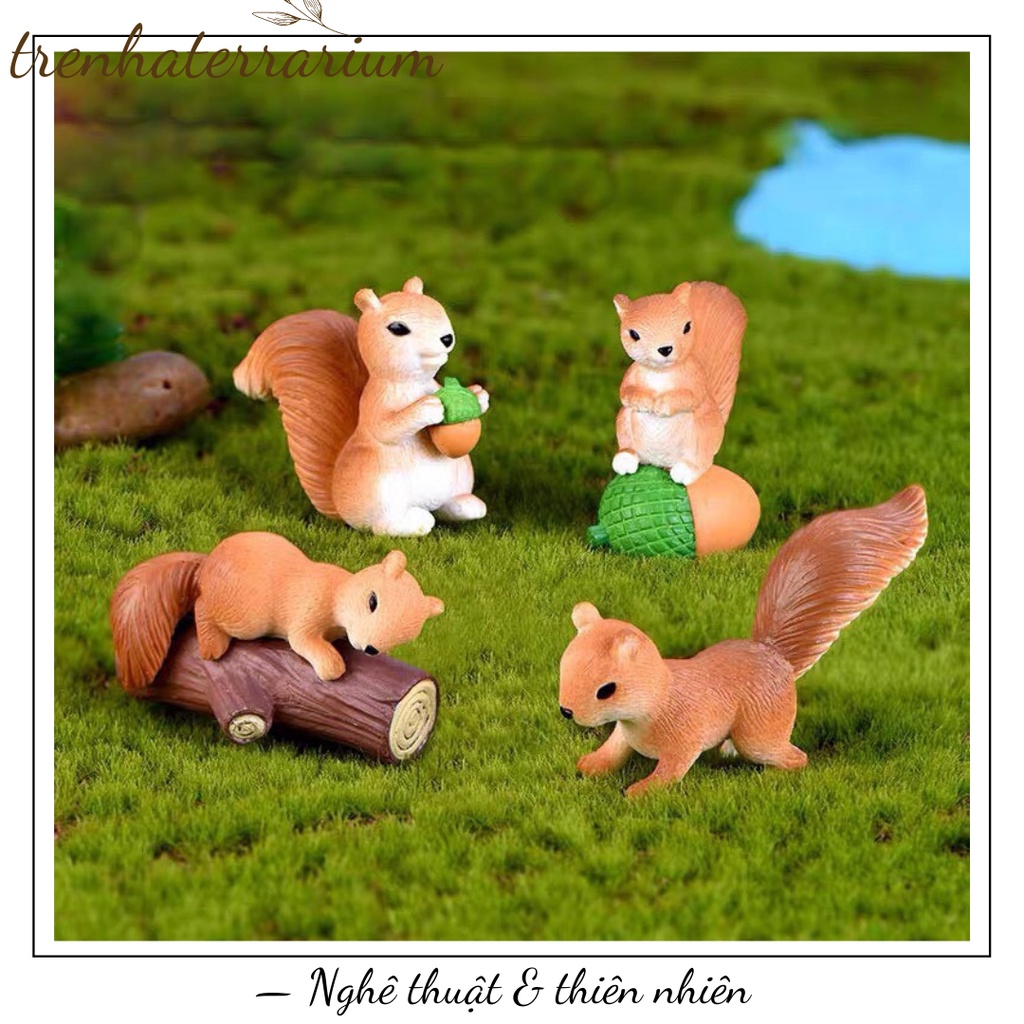 Tiểu cảnh sóc tinh nghịch terrarium cực cute trang trí sen đá