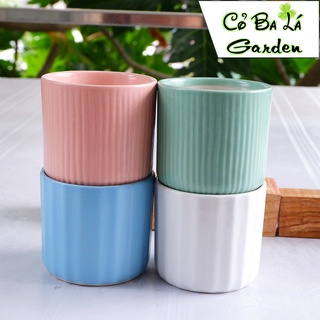 Chậu sứ trồng cây Hình Trụ mini 8x8 cm