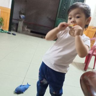 Áo Cộc Tay Cho Bé Trai/ Bé Gái