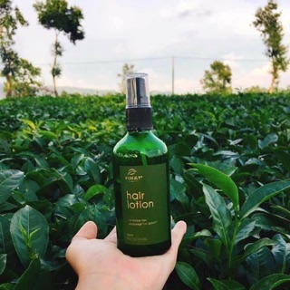 Tình dầu bưởi vi jully