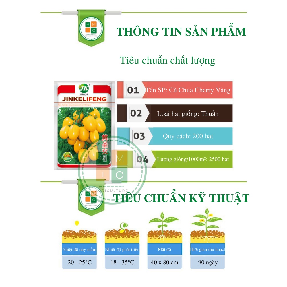 Hạt giống cà chua cherry vàng chịu nhiệt