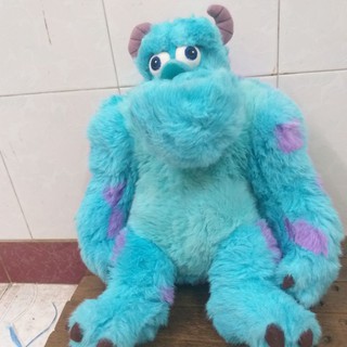 Gấu si cua hai my