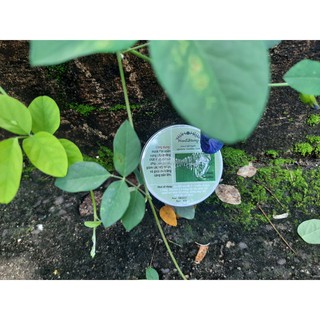 Mặt nạ Tảo xoắn (mask)
