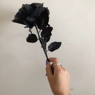 Hoa hồng đen bông to trang trí decor phòng tiện lợi( sẵn hàng sll)