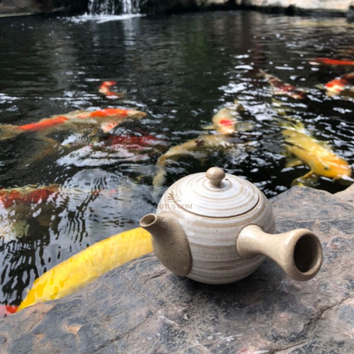 Ấm Trà Bạch Hồng Sa Kutani Quai Ngang