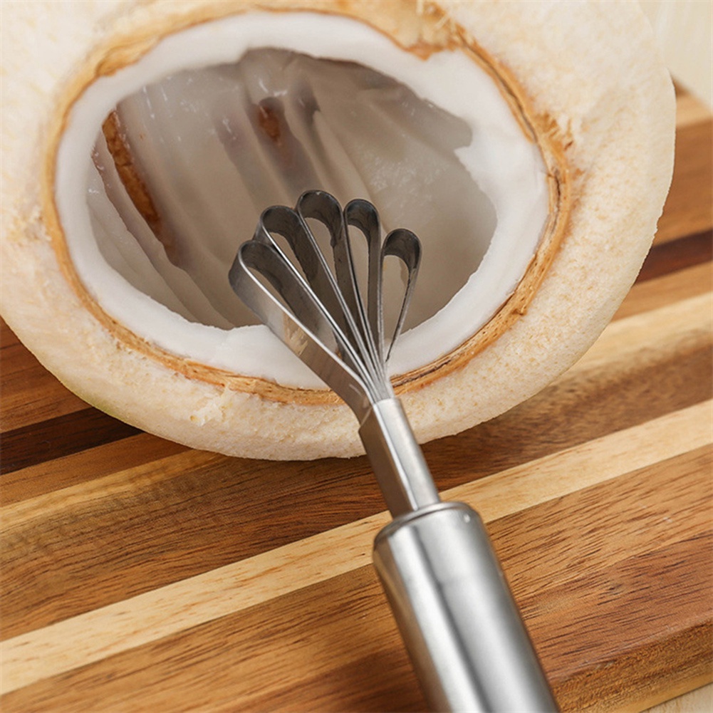 Dụng Cụ Cạo Vảy Cá/Rau Củ Quả Đa Năng