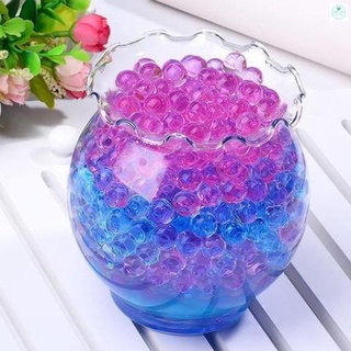Gói Hạt Tinh Thể Trồng Cây Không Cần Đất (1000 Viên)