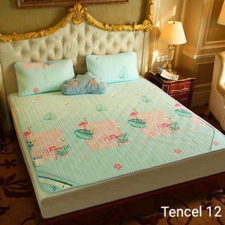 Chiếu điều hoà Tencel 2018 size 2m2