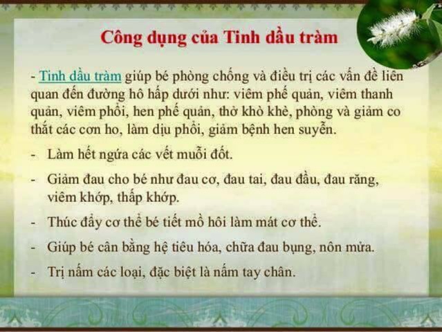 Tinh dầu tràm Family