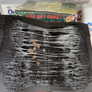 Keo dính chuột/ keo bẫy chuột