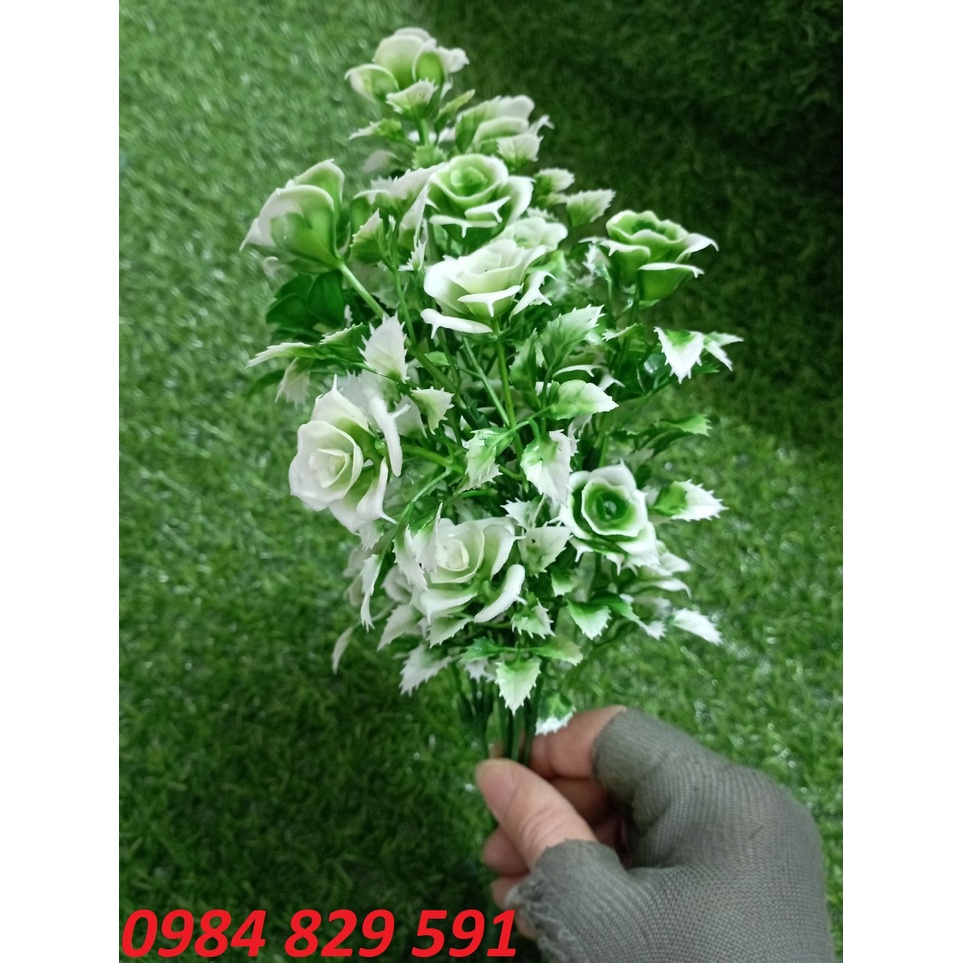 Cụm điểm hoa hồng