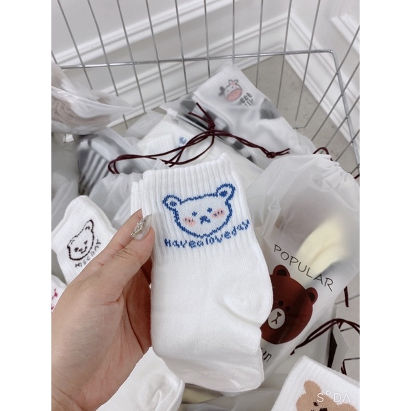 Tất nữ cổ combo 5 đôi cao con vật dễ thương vải cotton phong cách hàn quốc