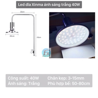 Led dĩa Xinma ánh sáng trắng | WRB (20W|40W)