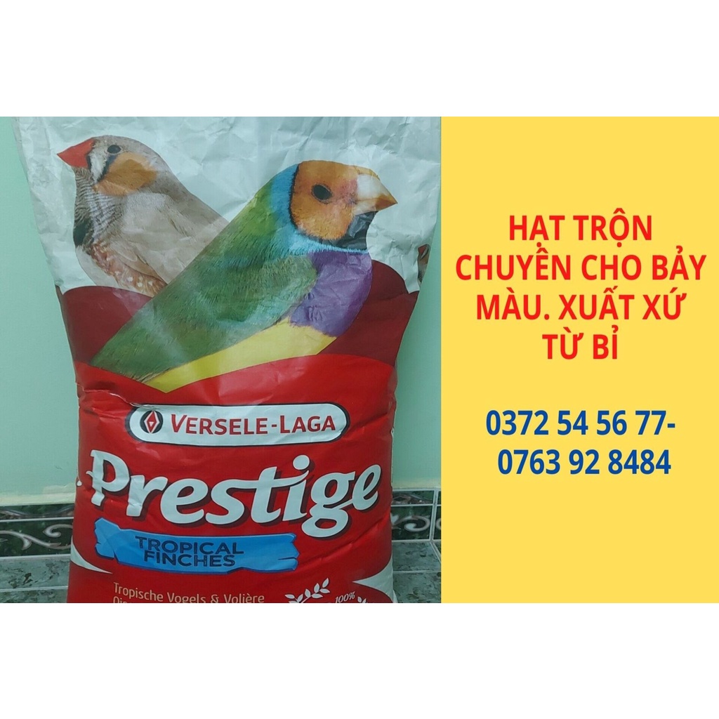 Hạt tổng hợp chuyên chi chim Bảy Màu. Xuất xứ từ Bỉ. 75k/kg