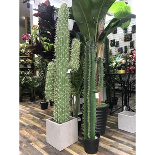 Cây giả - Cây xương rồng giả trang trí nhà, quán cà phê đẹp LanDecor cao 100cm - 145cm