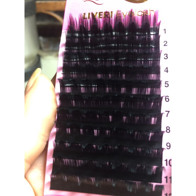 Mi hoa sơn trà độ dày 0.07