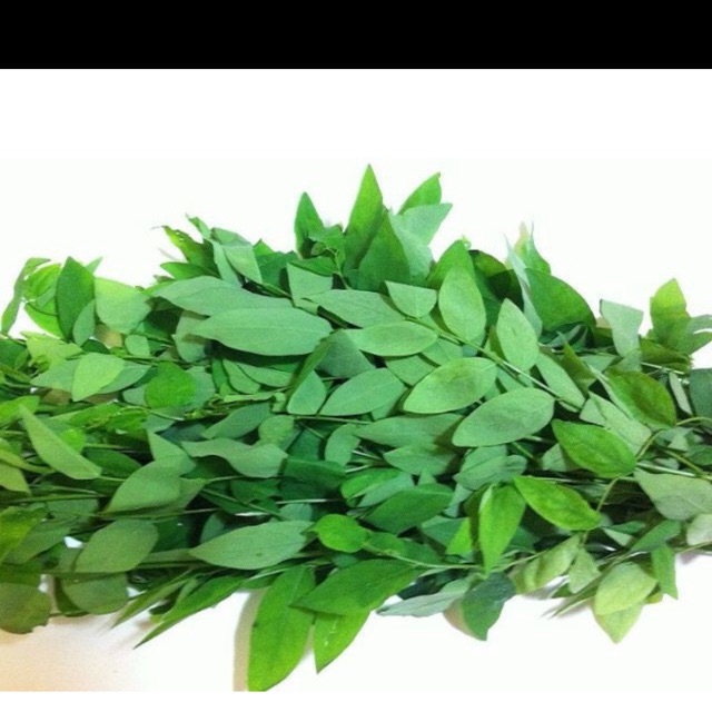 Hạt giống rau ngót- gói 1 gam