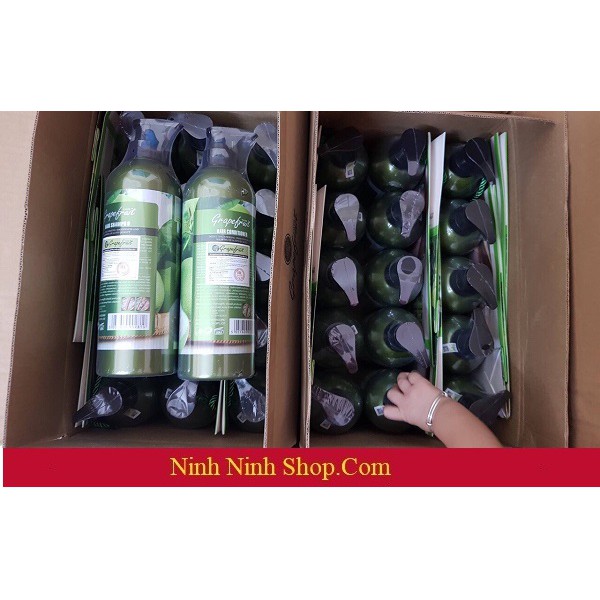 Bộ dầu gội xả Bưởi Đo Grape Fruit Repair Hair 850ml H305 | BigBuy360 - bigbuy360.vn
