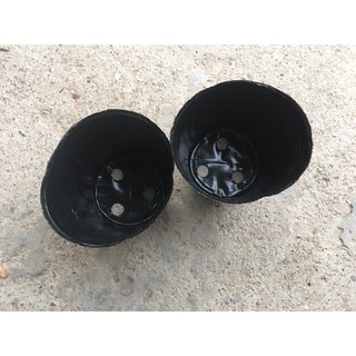 Set 10chiếc- cỡ nhỏ- bầu ươm cây cỡ nhỏ, ươm cây con, sang bầu, giâm cành
