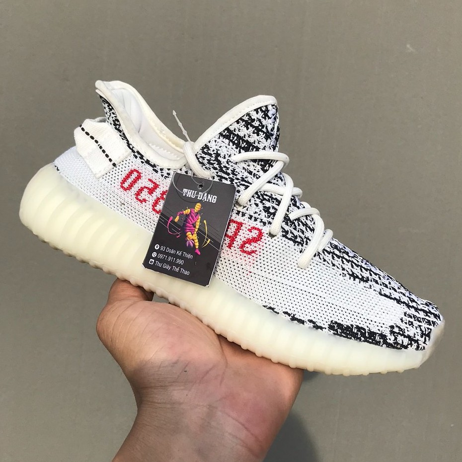 Giày thể thao sneaker V2 ngựa vằn :
