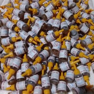 Combo  3 lọ diệt kiến gián