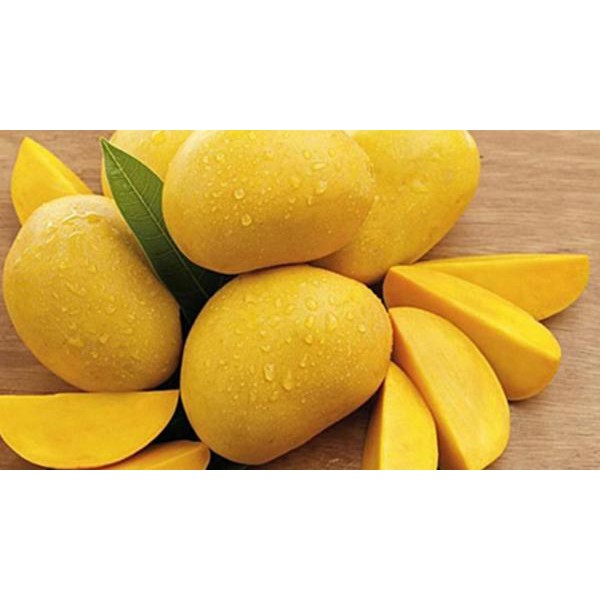 Hương Xoài Thực Phẩm - Mango Flavor MQ International 30ML