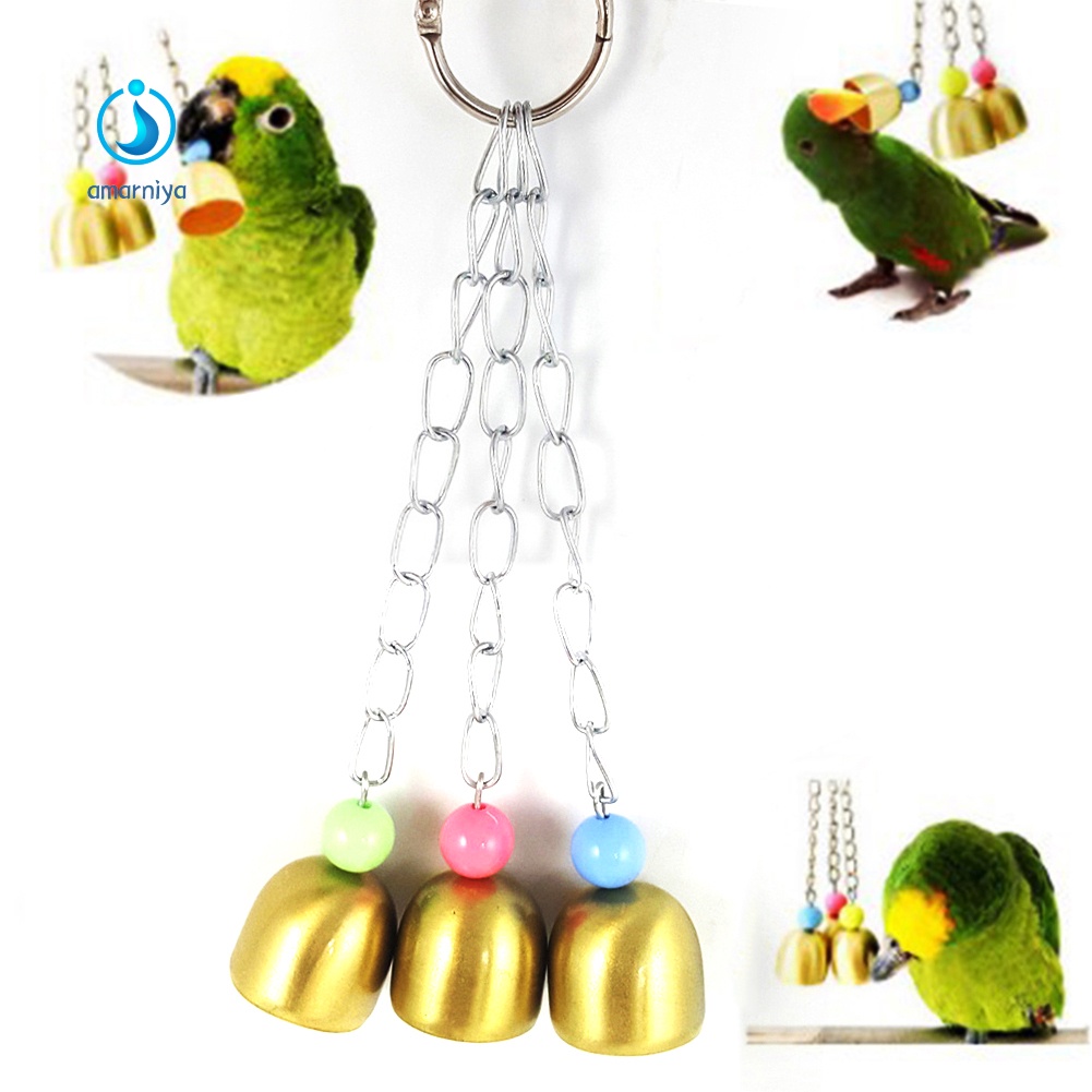 Đồ Chơi Dây Xích 3 Chuông Treo Lồng Chim Vẹt Đứng