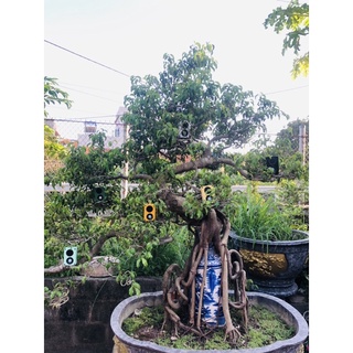 Loa Bluetooth Handmade Màu Đỏ ⚡️⚡️⚡️