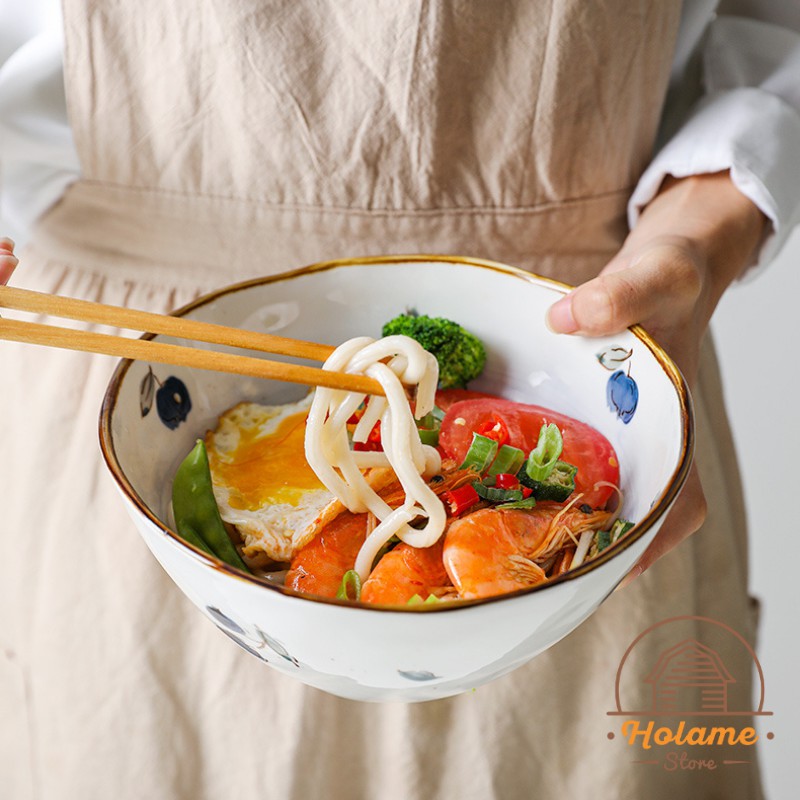 Tô ăn mì , bát úp mì đựng đồ ăn họa tiết hoa quả nhiều màu sắc Holame