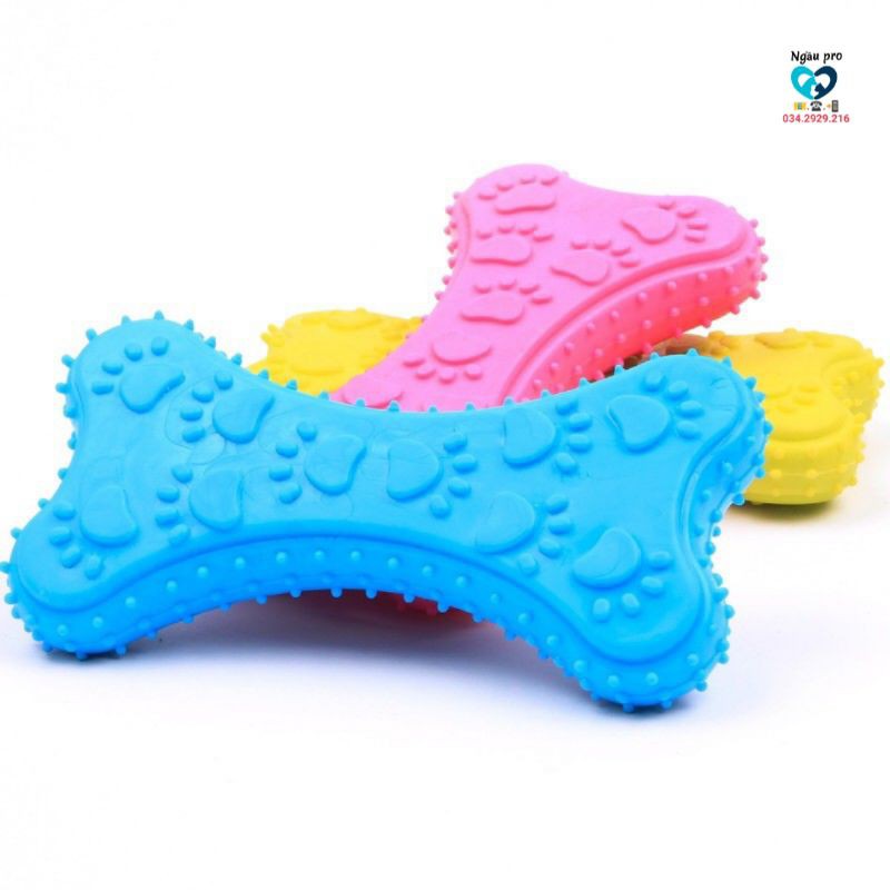 Đồ chơi xương cao su TRP cho chó gặm ngứa mọc răng - Xương bánh quy cho cún cưng chống cắn phá giảm stress 3 màu Ngaupet