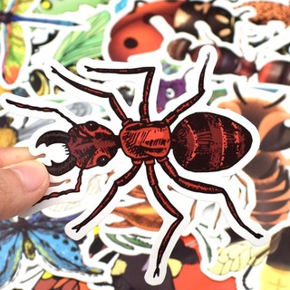 Stiker côn trùng 30-60 decal ép lụa bóc dán/ hình dán côn trùng