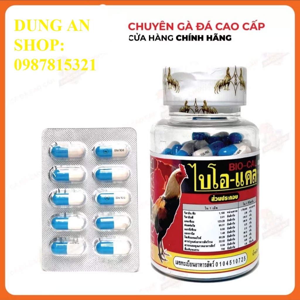 BIO CAL: Bổ Xương Gân Gối cho gà đá - bổ sung Canxi cho gà chọi, gà nòi, gà tre. 1 HỘP 100 VIÊN