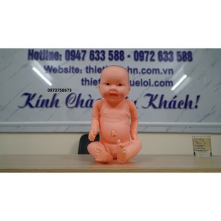 Mô hình em bé sơ sinh nam nữ