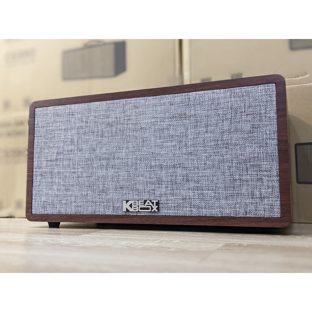 Loa karaoke di động Acnos CS390