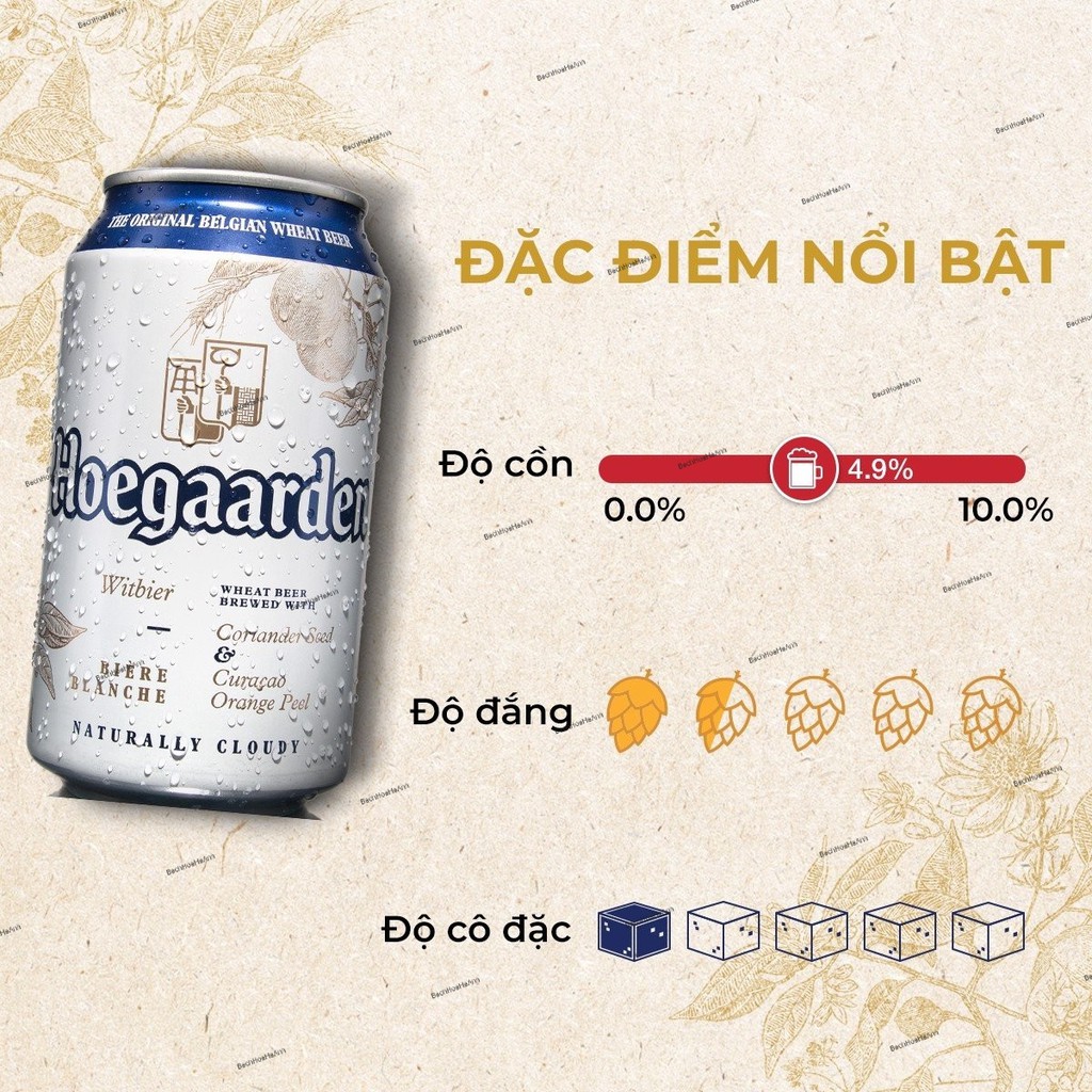 Bia Hoegaarden White 330ml - 24 lon