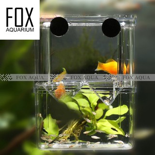 Lồng Đẻ Cho Cá Bảy Màu Lồng Tách Và Dưỡng Bệnh Chất Liệu Mica Giá Rẻ