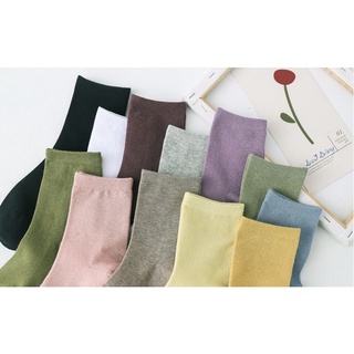 VỚ TRƠN CỔ CAO BASIC MÀU PASTEL