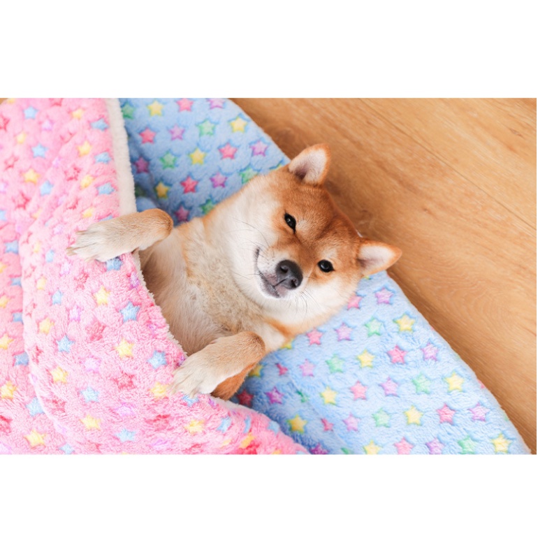 THẢM NẰM CHO CHÓ MÈO MỀM MỊN - LOVE PETS SHOP