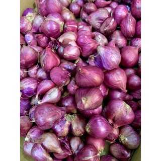 [Tân Phú] 100gr TỎI, HÀNH TÍM khô thơm