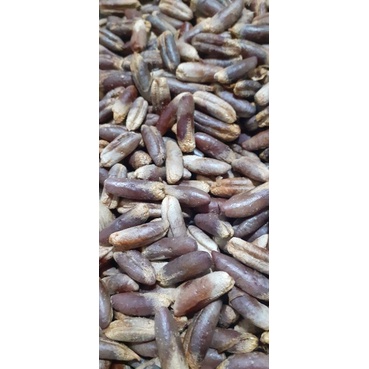 Hạt giống chà là trung đông