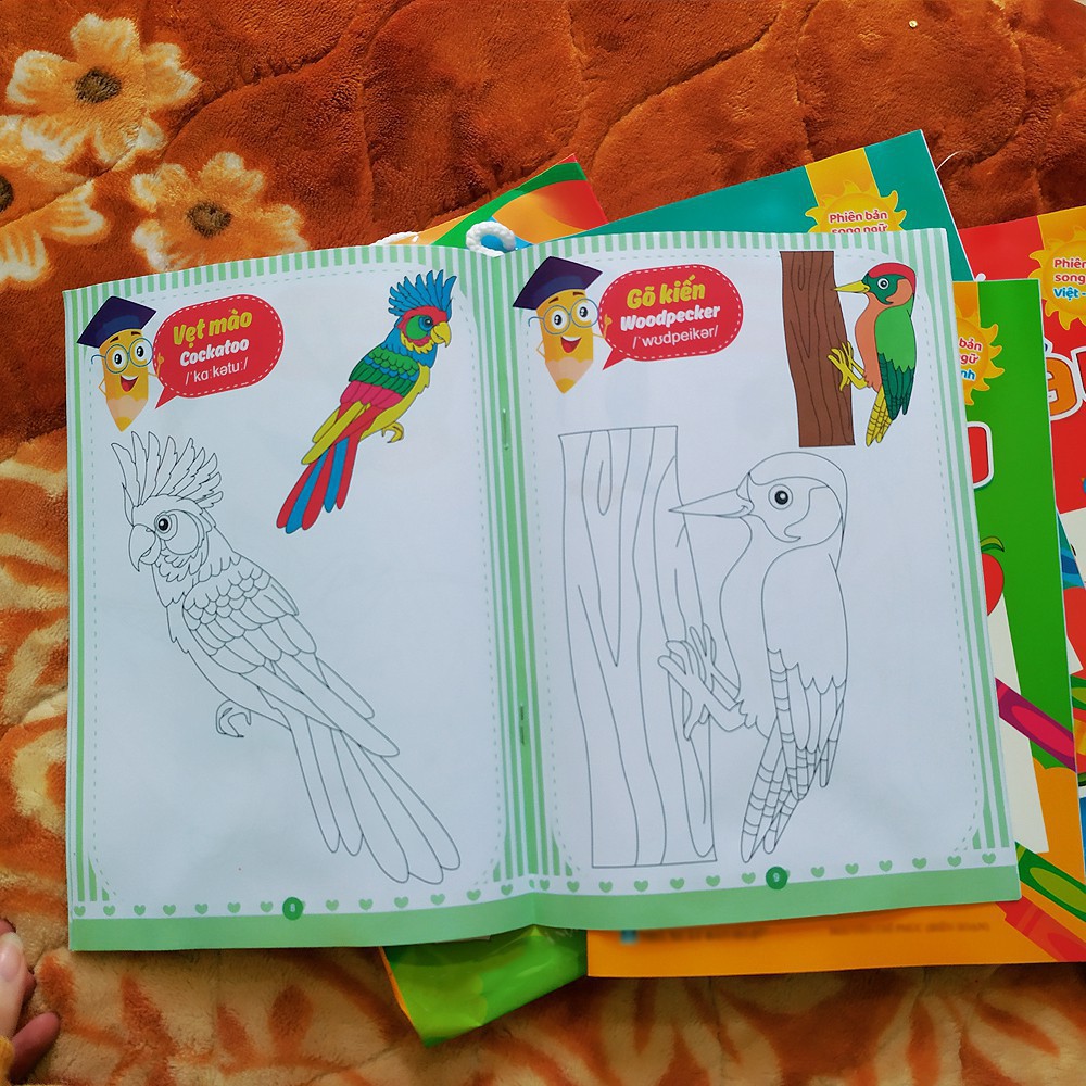 Bộ tập tô cho bé: Hộp 12 sáp màu và Set 8 tập tô màu cho bé 3-4 tuổi